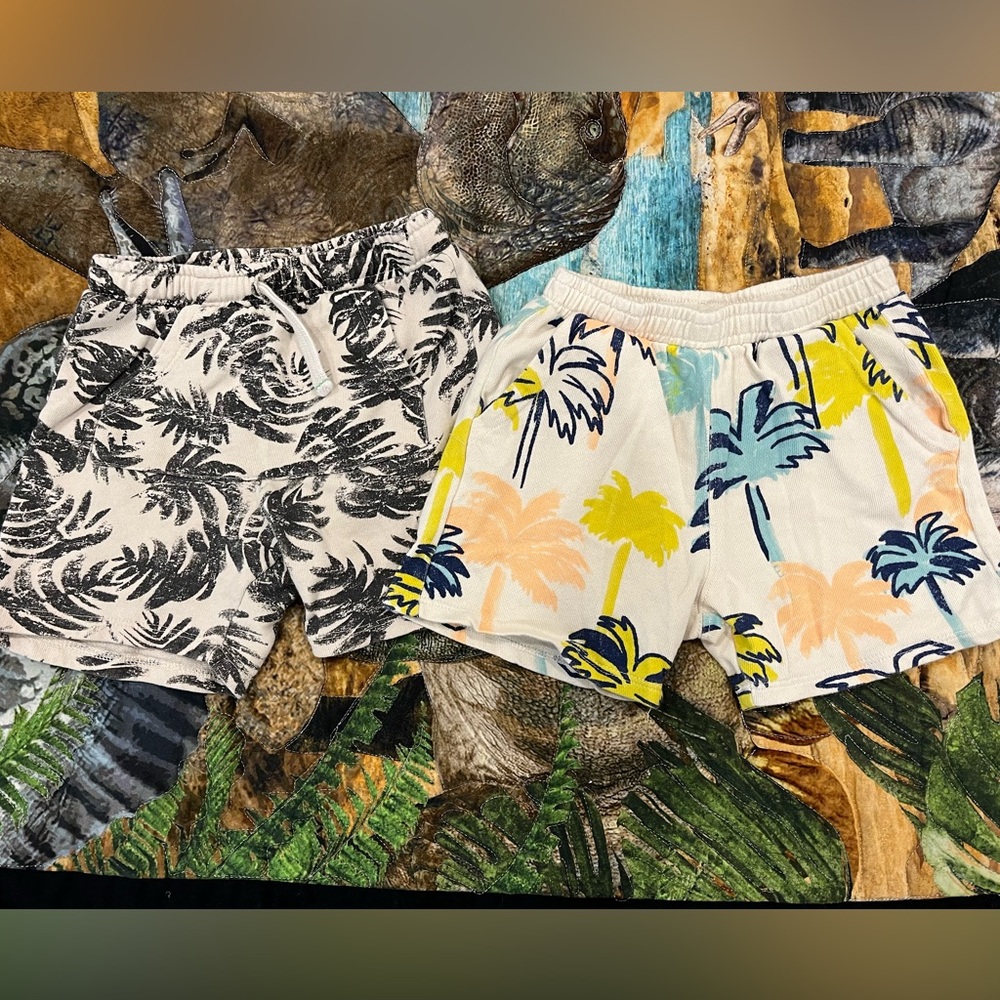 Zara shorts 3-4T